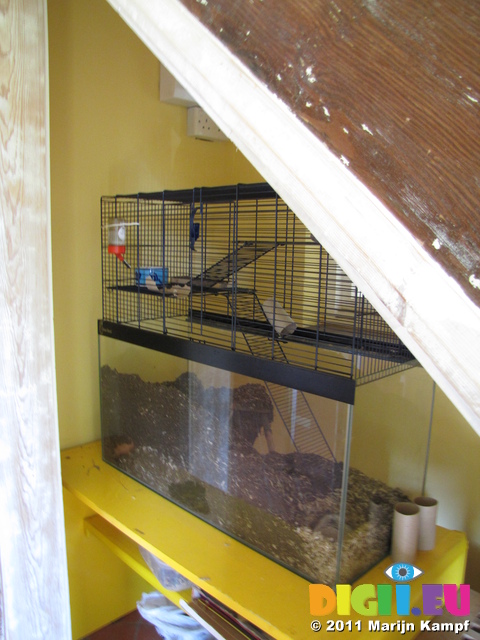 SX20087 Gerbil cage